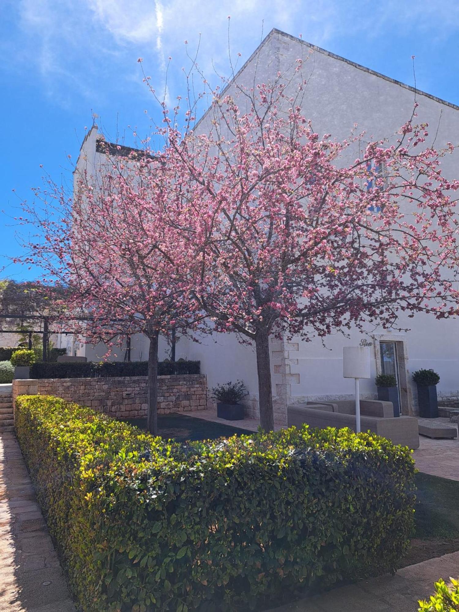 Hotel Relais Il Santissimo Turi Esterno foto